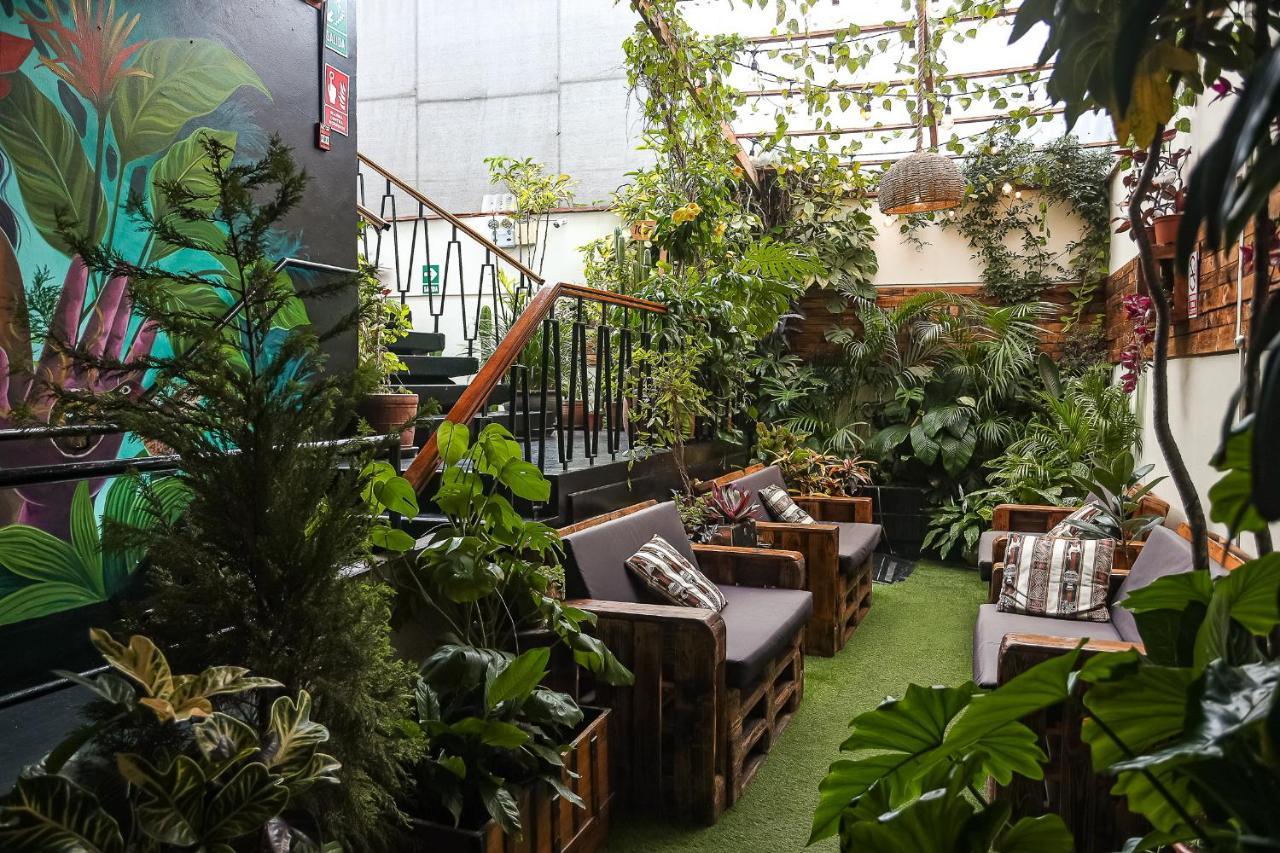 Black Llama Hostel Miraflores リマ エクステリア 写真